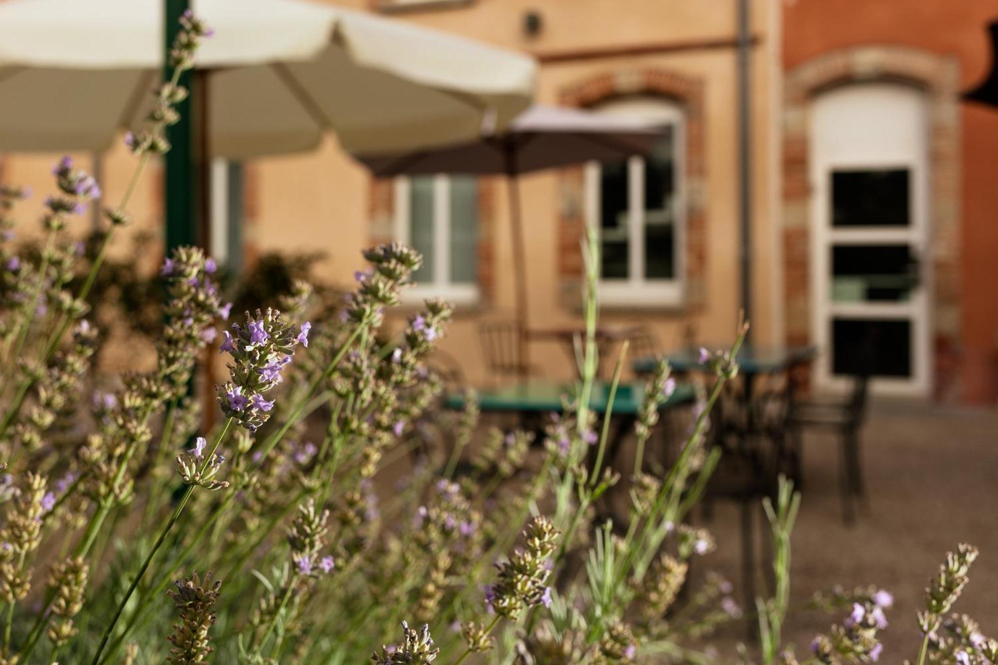 Ibis Styles Toulouse Lavaur Hotel Exterior foto